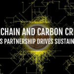 Blockchain and Carbon Credits: How This Partnership Drives Sustainability